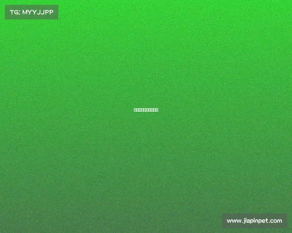 智慧体育公园解决方案