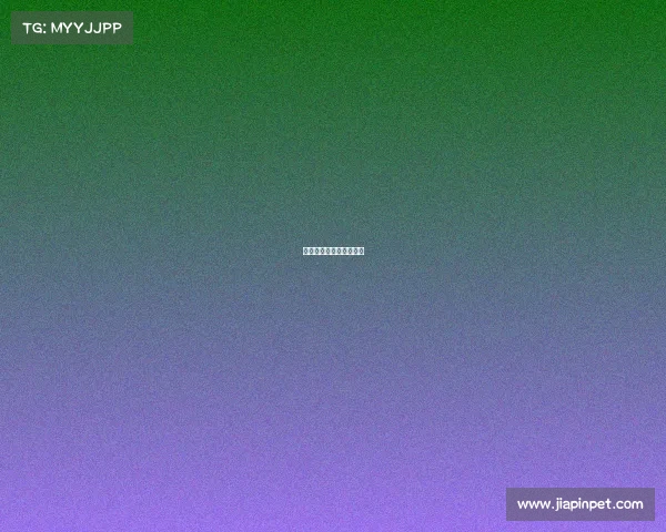 江苏棋牌网等级查询测试