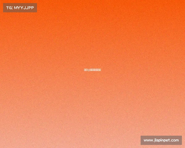 自主ip赛事是什么意思