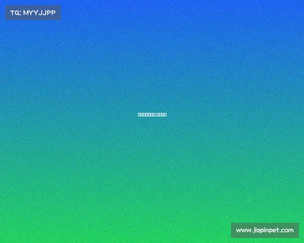 社会杯赛事直播,社会大赛