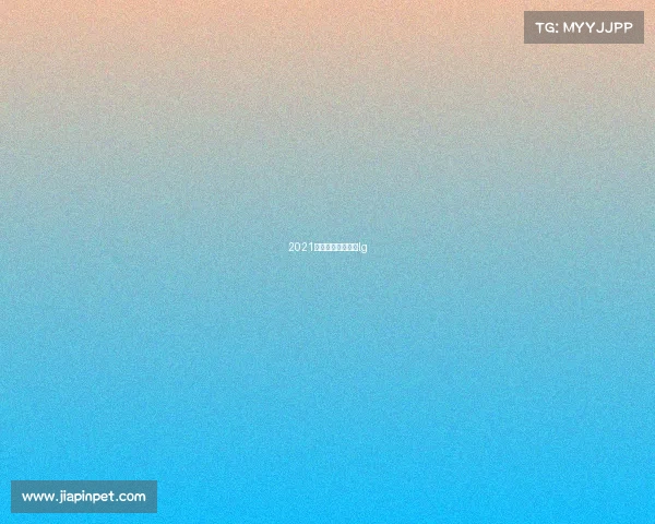 2021最新围棋比赛视频lg