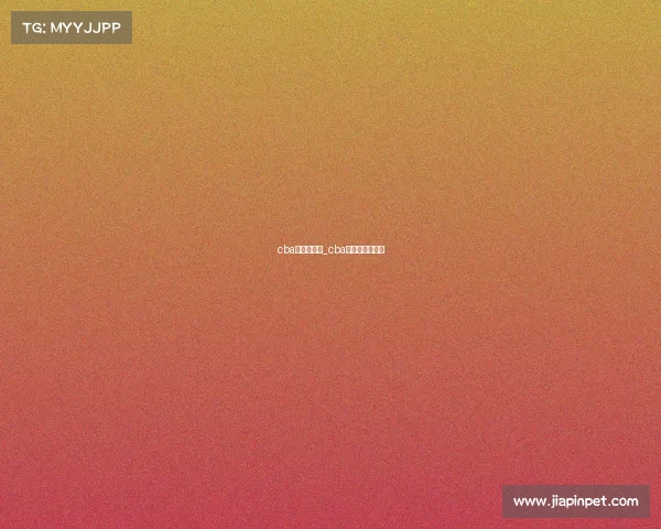 cba下一级赛事_cba下一轮比赛时间