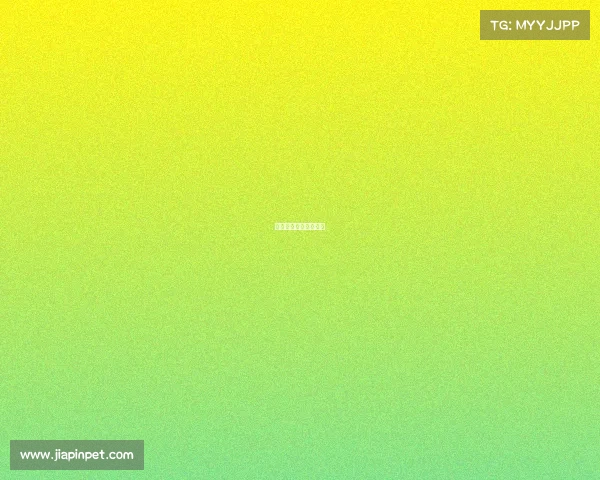 体育赛事执行工作内容