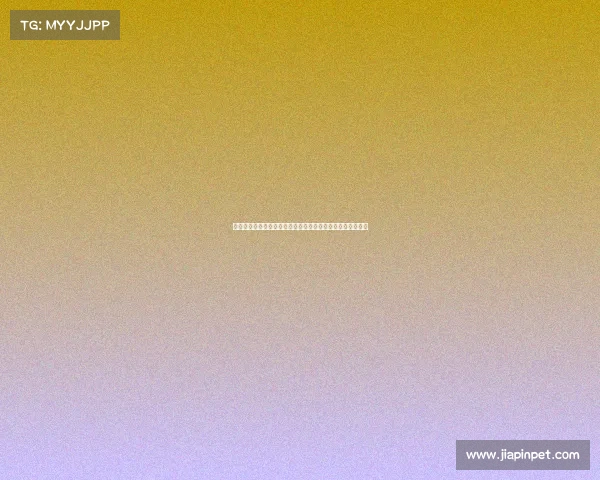 辽蓝赛况—辽宁篮球联赛燃情开赛群星闪耀巅峰对决热血沸腾